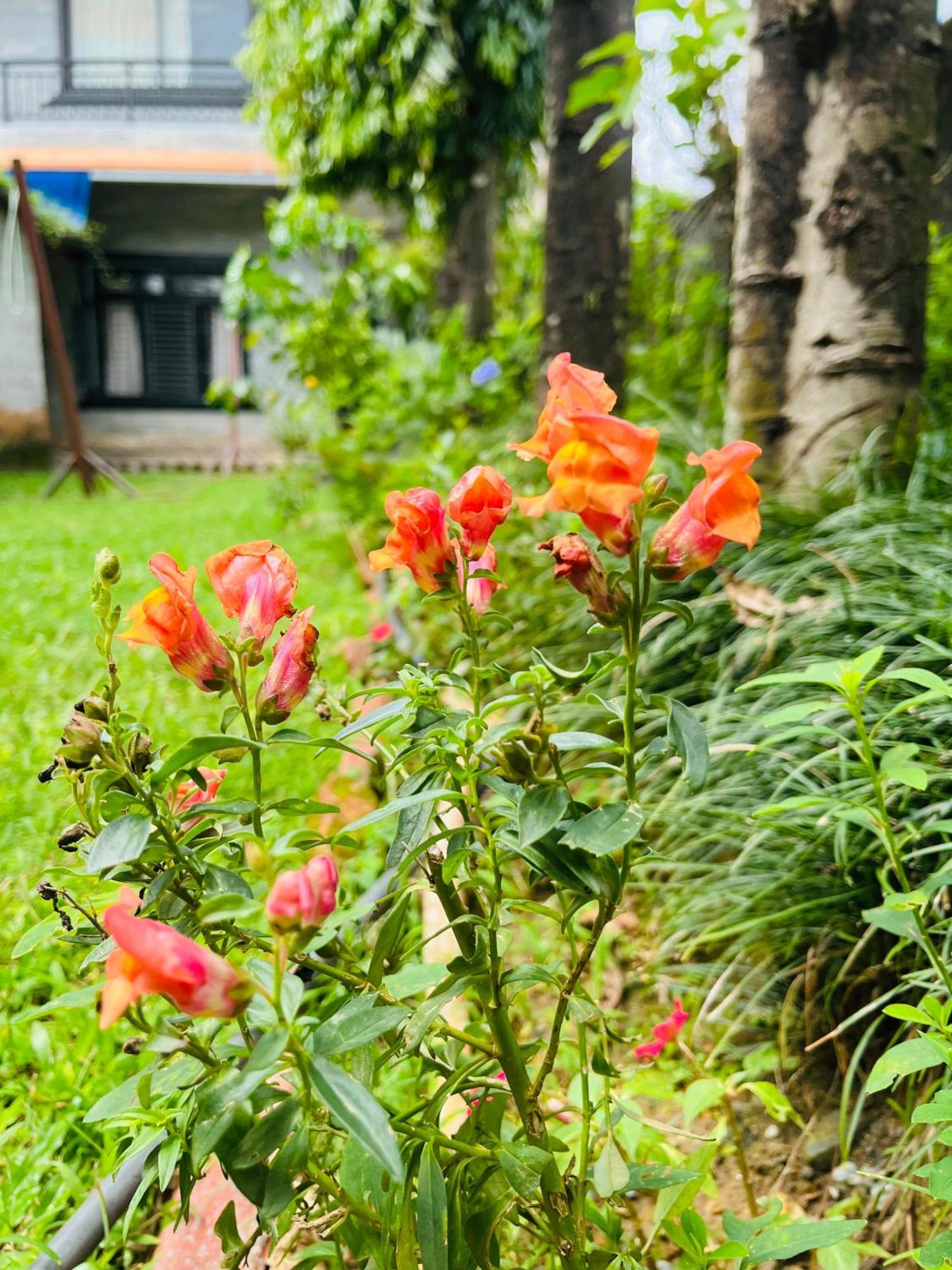 Cherry Garden Pokhara Exterior foto