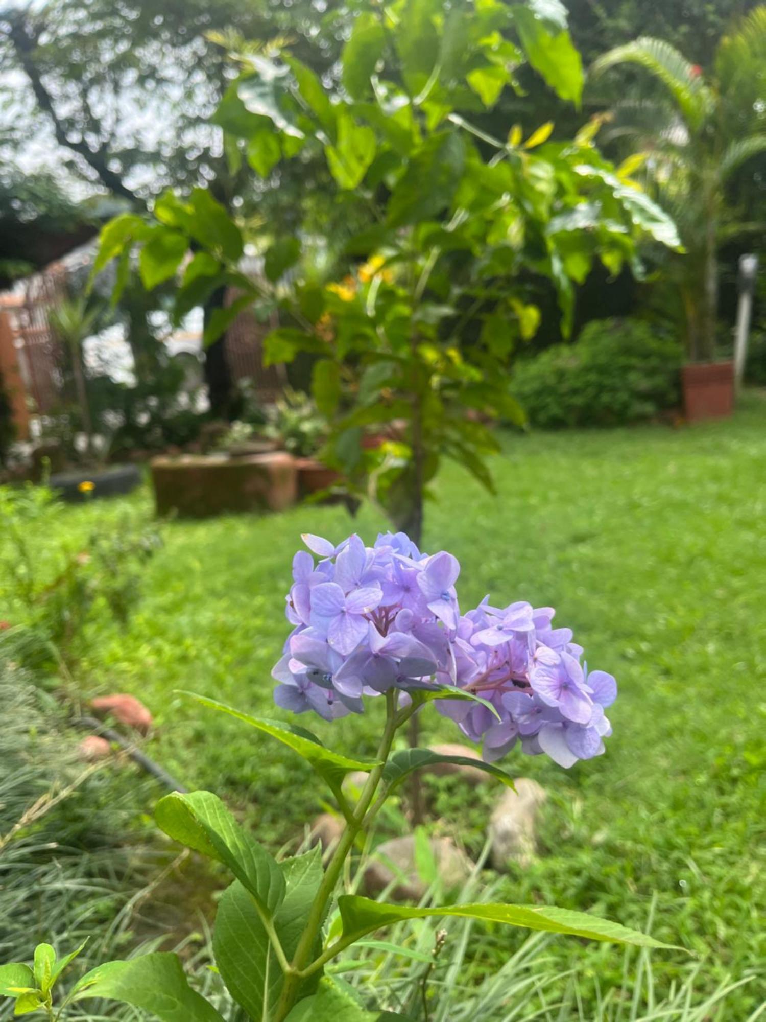 Cherry Garden Pokhara Exterior foto